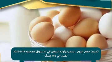 تحديث مهم اليوم.. سعر كرتونة البيض في الأسواق المحلية 13-9-2025 يصل إلى 152 جنيهًا